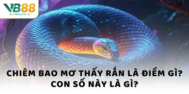 Chiêm bao mơ thấy rắn là điềm gì? Con số này là gì?