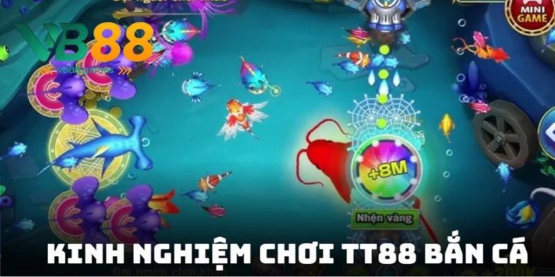 Điều chỉnh hướng bắn chính chính xác