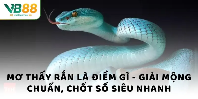 Mơ thấy rắn là điềm gì? Thông điệp giải mộng chung 