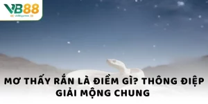 Mơ thấy rắn là điềm gì? Thông điệp giải mộng về rắn đen