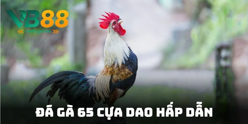 Tận hưởng tỷ lệ cược đầy hấp dẫn