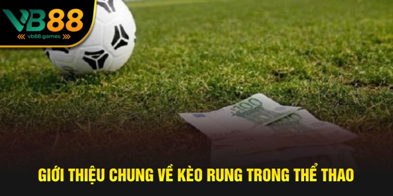 Giới thiệu về tỷ lệ kèo thể thao rung